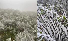 Nhiệt độ xuống dưới 2 độ C, đỉnh La Pán Tẩn ở Mù Cang Chải xuất hiện băng tuyết
