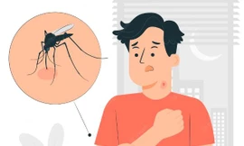 Dịch sốt xuất huyết tăng cao, lưu ý ngay những dấu hiệu nhận biết và cách phòng tránh