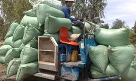 Những cánh đồng không có con đường