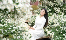 Hoa khôi game thủ mang vẻ đẹp tỏa nắng