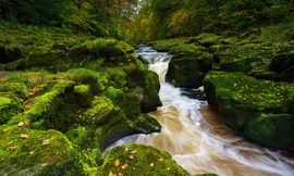 Ngắm suối nhỏ đẹp, thơ mộng, nhưng giết nhiều du khách ở Anh