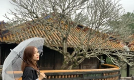 Sinh viên quê Quảng Ninh nói gì khi dịch bệnh COVID-19 tràn về trước Tết Nguyên Đán?