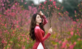 Duyên dáng trong tà áo dài, 9X Phú Thọ "xinh như mộng" trước thềm năm mới