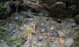 Thăm vùng đất những hòn đá biết sinh nở