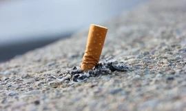 Tái chế đầu lọc thuốc lá thành gạch: Từ lý thuyết đến thực tiễn