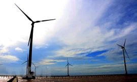 Thu hồi dự án nhà máy điện gió gần 3000 tỷ đồng