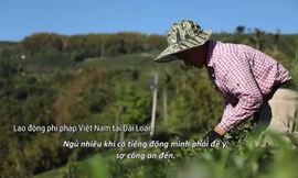 Cuộc sống chực chờ bị bắt của những người Việt làm chui tại Đài Loan