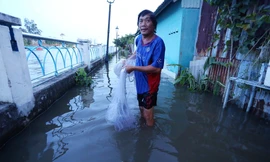 Triều cường lên đỉnh 1,62 m, người Sài Gòn lội nước trong nhà