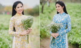 Hoa hậu Ngọc Hân đẹp mơ màng với áo dài bên cúc hoạ mi