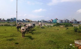 Khu công nghiệp Đồng Văn II hiện còn nhiều khu vực chưa hoàn thiện 