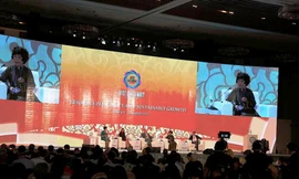 Doanh nhân Thái Hương phát biểu tại CEO SUMMIT – APEC 2017