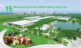 15 năm xây dựng hệ thống trang trại của “triệu phú sữa tươi” Việt Nam