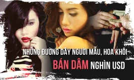 Điểm mặt những đường dây người mẫu, hoa khôi bán dâm nghìn USD