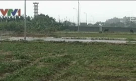 Người dân ‘mỏi mắt’ chờ đất dịch vụ