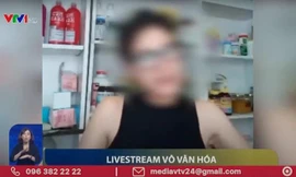 Dù đã làm mờ mặt nhưng nhiều khán giả nhận ra những ca sĩ, diễn viên, người mẫu được VTV điểm mặt là ai. 