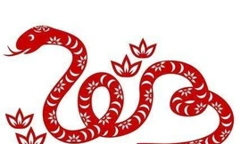 Tử vi tuổi Tỵ 2022: Bán cát bán hung, đề phòng tiểu nhân