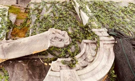 Phần tường dây leo bị sập sau cơn bão sáng 18/9. Ảnh: Mar6.