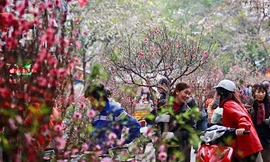 Vì sao có tục 'cuối năm mua vôi’ và những điều nên làm dịp gần Tết 