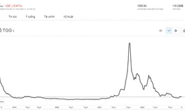 Quay cuồng với cổ phiếu trong các vụ thao túng giá