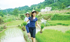 Người đẹp áo dài Lê Thanh Tú và những ấn tượng khó quên tại Hoa hậu Việt Nam