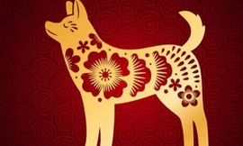 Tử vi tuổi Tuất năm 2025: Tài vận lên như diều gặp gió