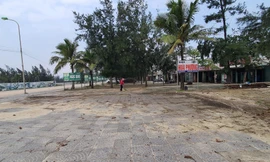 Nỗi niềm không tên của 'nữ hoàng các bãi tắm'