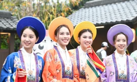 Dàn người đẹp Hoa hậu Việt Nam làm bánh, cắm hoa 