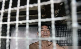 Những người sống trong "chuồng" sắt tại Hong Kong