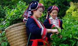 Phụ nữ DTTS nỗ lực vươn lên, khẳng định vai trò bản thân trong cuộc sống