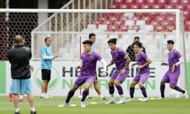 Đội tuyển Việt Nam sẽ vượt sức ép tại Bung Karno để giành chiến thắng. Ảnh: Hữu Phạm