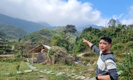 Chu Tiến Thanh dẫn du khách đi ngắm vẻ đẹp của đỉnh Phia Oắc