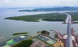 Thời gian tới, một trong những nhiệm vụ lớn của Quy hoạch tổng thể quốc gia là hoàn thiện mạng lưới đường bộ cao tốc