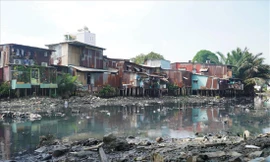 Nhà lụp xụp trên rạch Xuyên Tâm. Con rạch không còn chức năng thoát nước và ô nhiễm nặng vì chứa rác thải