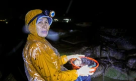 Mưu sinh giữa mùa biển 'nổi phong ba' 