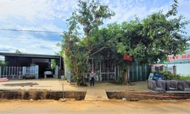 Hộ bà Hà kinh doanh phân bón được đưa vào diện hộ nghèo