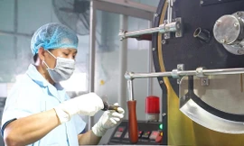 Nhu cầu tuyển dụng lao động của nhiều ngành nghề sẽ tăng cao tại TPHCM. Ảnh: Uyên Phương