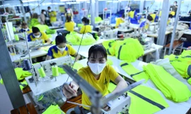 Công ty Cát Vạn Lợi khóc ròng vì lo trễ tiến độ giao hàng. Ảnh: U.P