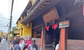 Tỉnh Quảng Nam dự kiến mở cửa đón khách du lịch từ tháng 12 tới