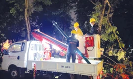 Công nhân HAPULICO kịp thời khắc phục sự cố mưa bão trong đêm