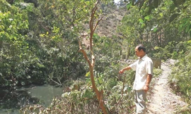 Anh Hoàng Văn Toản dẫn phóng viên Tiền Phong đến địa điểm phát hiện con trai mình bị chết tức tưởi