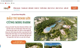 Cty CP Tập đoàn Mỹ Hạnh kêu gọi nhà đầu tư trên trang web (Cty này bị cơ quan công an điều tra về tội “Lừa đảo chiếm đoạt tài sản”). Ảnh: Tiền Lê
