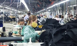 Doanh nghiệp dệt may Đà Nẵng hướng đến liên kết để tạo thành hệ sinh thái tận dụng các cơ hội từ các FTA. Ảnh: Giang Thanh