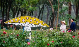 Công viên Thống Nhất đổi thay sau khi được dỡ bỏ hàng rào