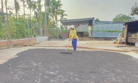 Tiêu sau khi thu hoạch sẽ được phơi khô