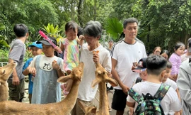 Người lao động đưa cả gia đình đi Thảo Cầm Viên vui chơi dịp lễ. Ảnh: U.P