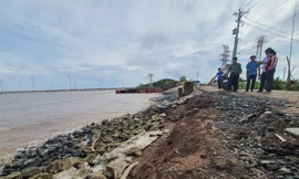 Tuyến đê biển Đông đoạn qua xã Vĩnh Trạch Đông, TP Bạc Liêu liên tục sạt lở những ngày qua Ảnh: Tân Lộc