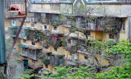 Đề án cải tạo, xây dựng lại chung cư cũ Hà Nội đang tiếp tục chậm tiến độ