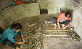 Nghề chằm áo tơi truyền thống tại Hà Tĩnh 