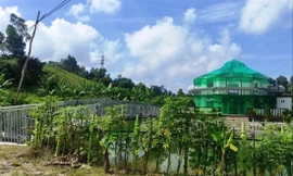 Nhà xây trên đất nông nghiệp tại phường Bắc Sơn, thị xã Bỉm Sơn, tỉnh Thanh Hóa