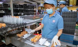 Công ty Vĩnh Thành Ðạt phân khu, chia nhỏ từng bộ phận sản xuất để phòng dịch hậu giãn cách. ẢNh: U.P